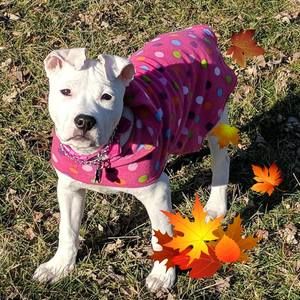 Meet your Posher, Karla